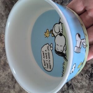 Peanuts Ceramic Pet Dish